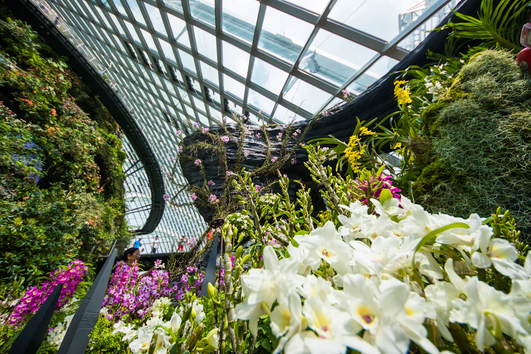 Gardens By The Bay